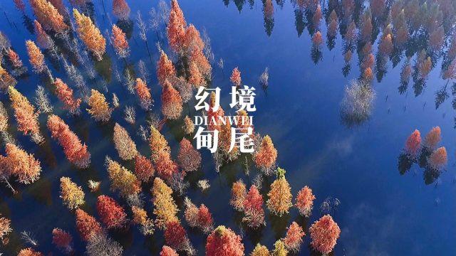 穿越火线之枪战王者